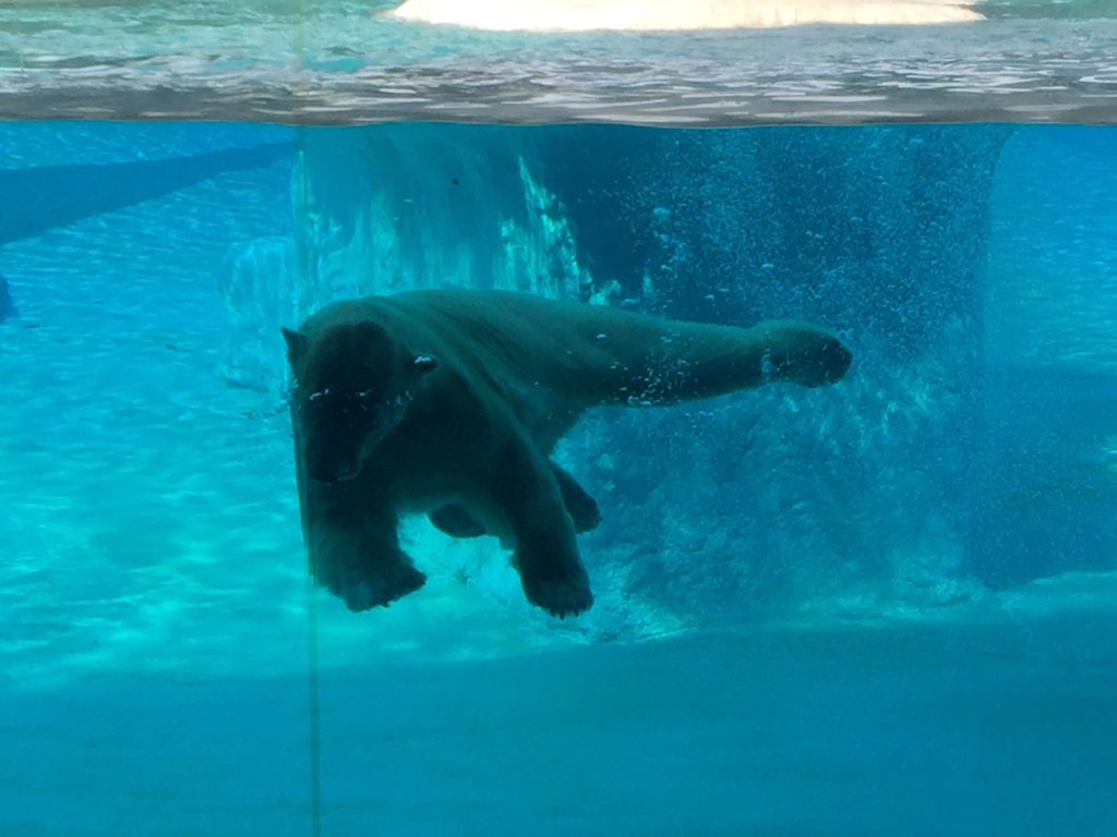 f:id:TJO:20181023155624p:plain f:id:TJO:20181023155624p:plain