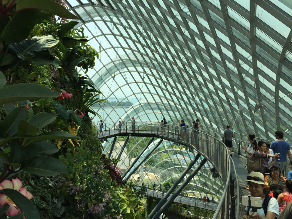 f:id:TJO:20181023171503p:plain f:id:TJO:20181023171503p:plain