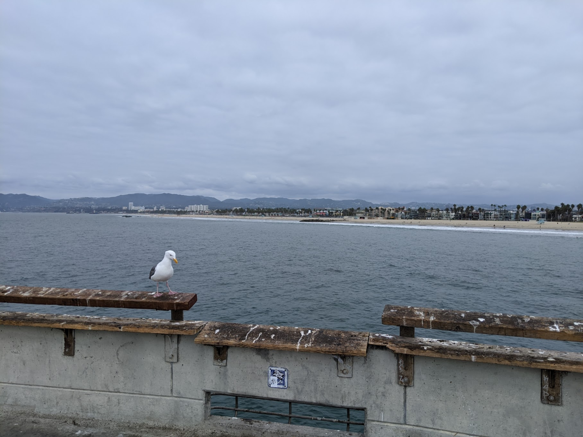f:id:TJO:20191012191545p:plain f:id:TJO:20191012191545p:plain