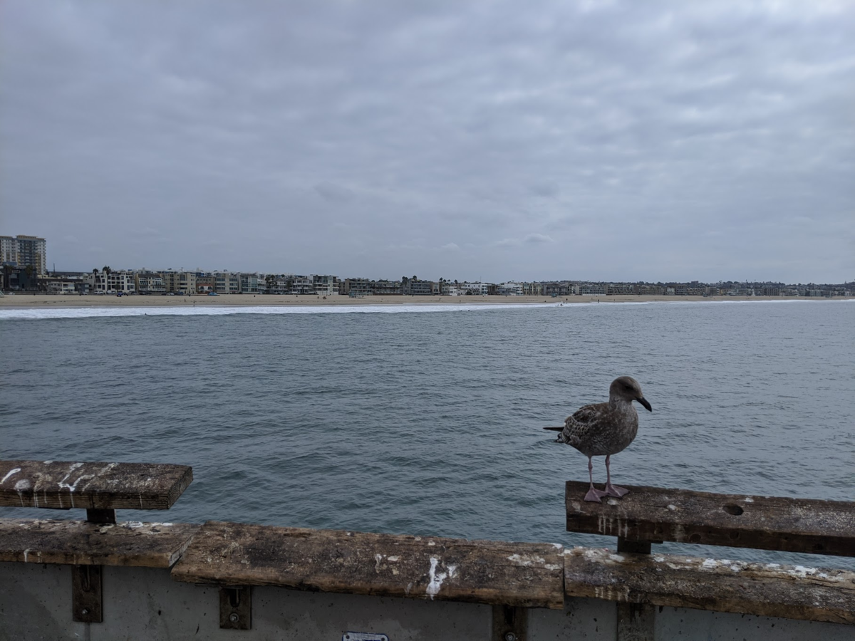 f:id:TJO:20191019150942p:plain f:id:TJO:20191019150942p:plain