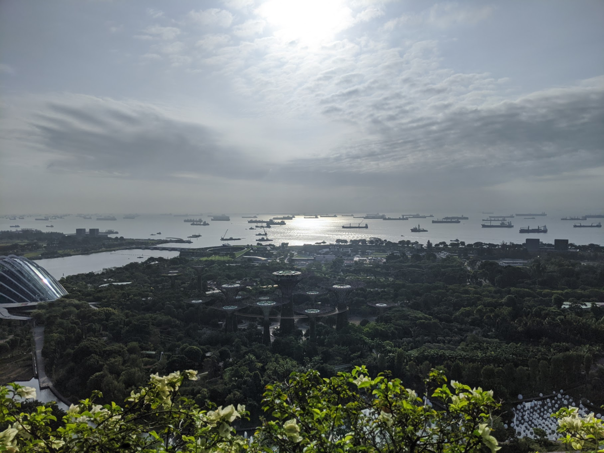 f:id:TJO:20200131002519p:plain