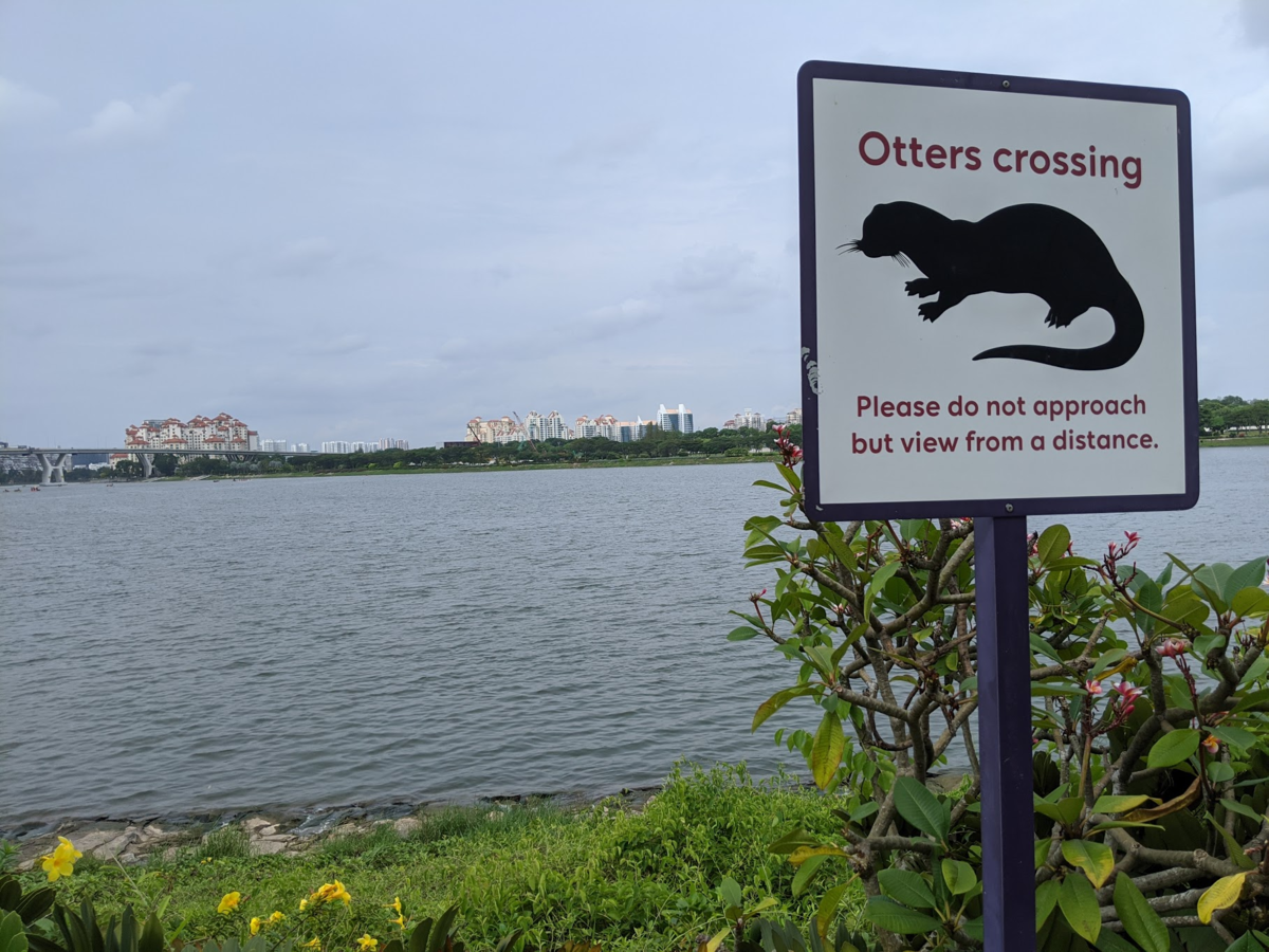 f:id:TJO:20200131224015p:plain