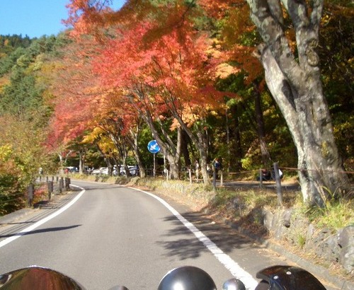f:id:TK-wata:20071116100812j:image