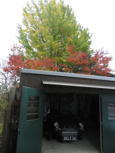 f:id:TK-wata:20111108145836j:image:w360