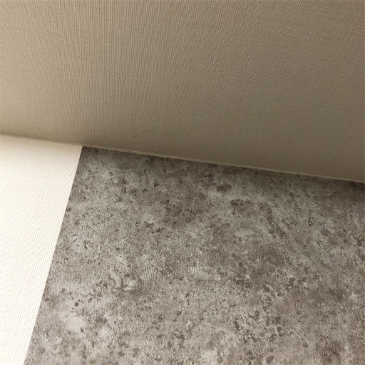 切り取った後1 切り取った上端の様子