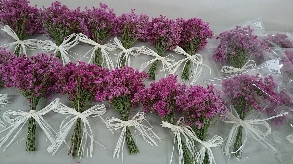 信州産　お花 信州産ドライフラワー入荷情報 - CFL Storeブログ