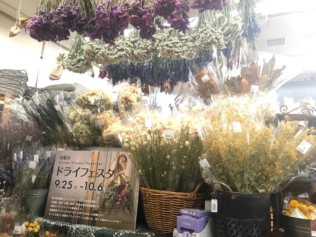 本店4階 今週もやっています ドライフェスタ 東京堂ショールームスタッフブログ