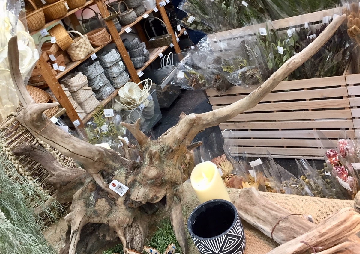 入荷情報 本店４ｆ 流木入荷しました 東京堂ショールームスタッフブログ