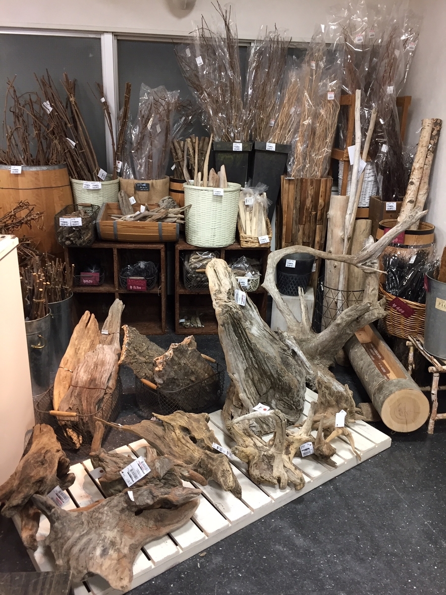 【高い素材】 入荷情報】《本店4F》流木入荷しました！ Storeブログ CFL - 額縁