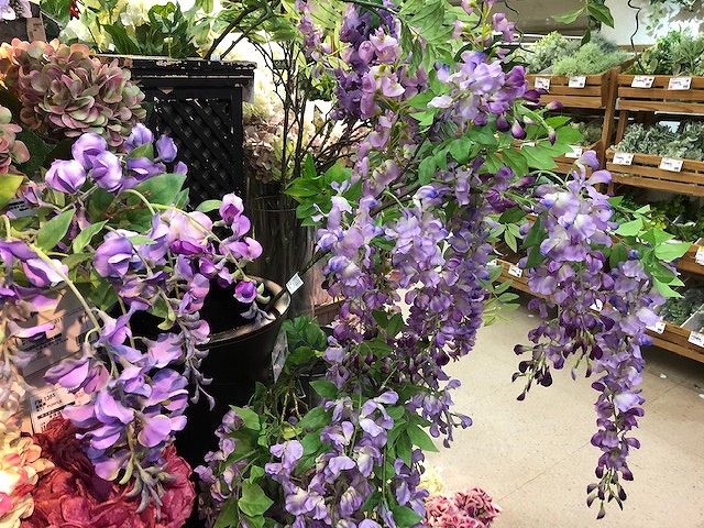 本店３ｆ 日本のおもてなし 藤の花 東京堂ショールームスタッフブログ