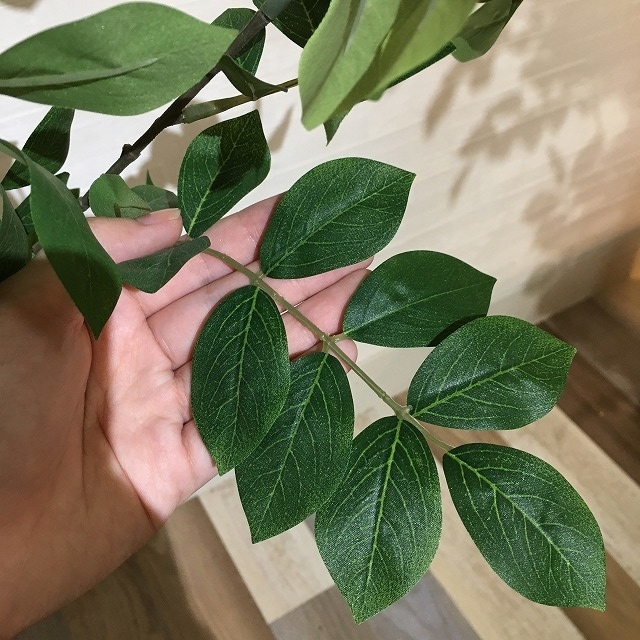 flentB1F》観葉植物?広げ方のコツ? - CFL Storeブログ