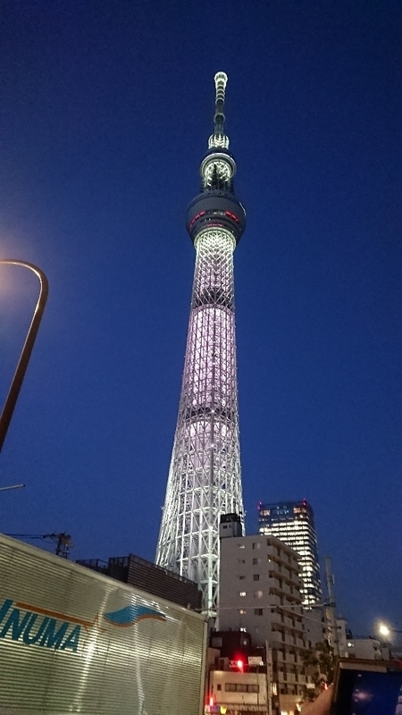 イメージ 3