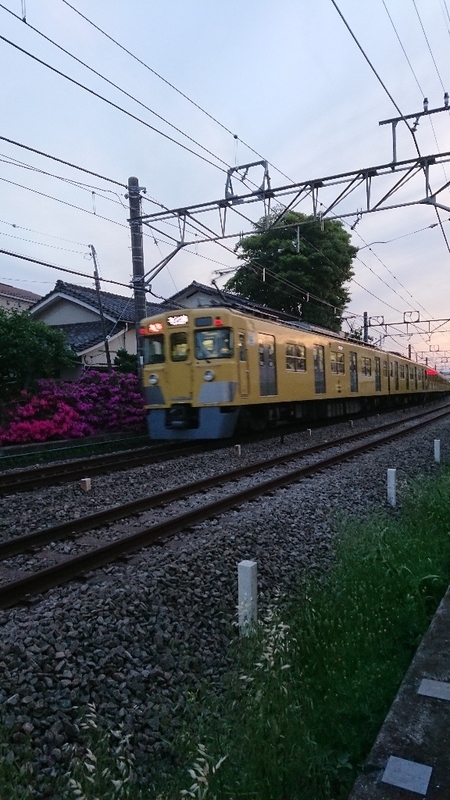 イメージ 8