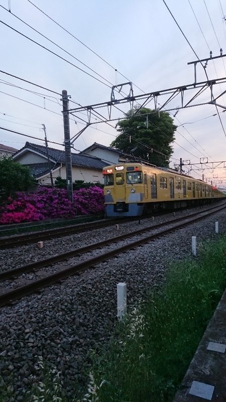 イメージ 9