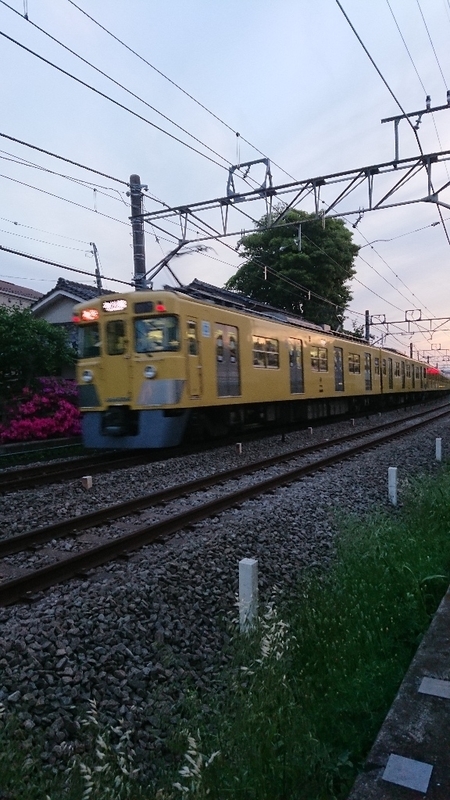イメージ 7
