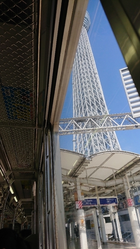 イメージ 8