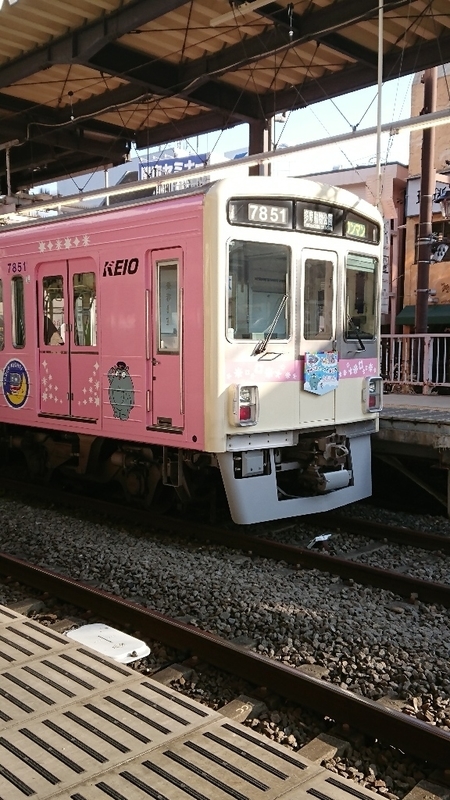 イメージ 5