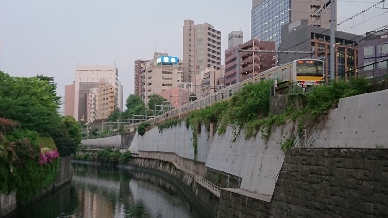 イメージ 5