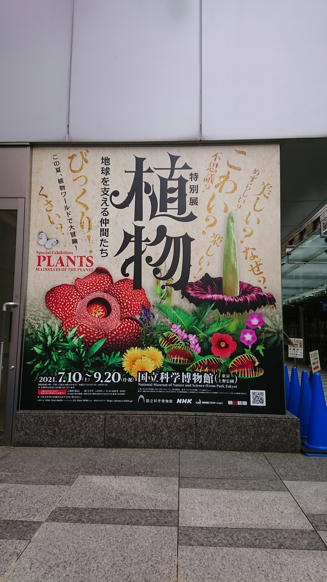 f:id:TKKmw:20210920180006j:plain