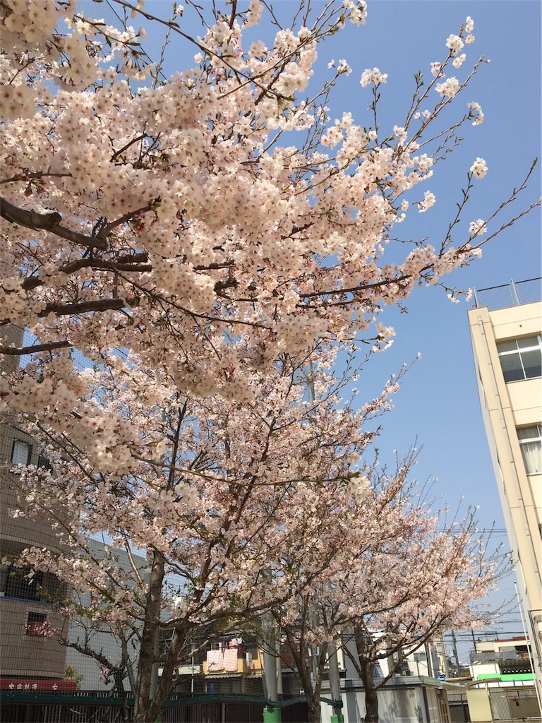 f:id:TMPP:20190408145058j:image