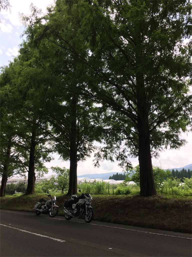 f:id:TNSC65:20160806135315j:image f:id:TNSC65:20160806135315j:image