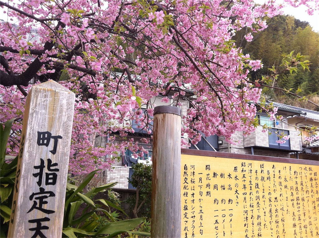 f:id:TNSC65:20161201151816j:image f:id:TNSC65:20161201151816j:image
