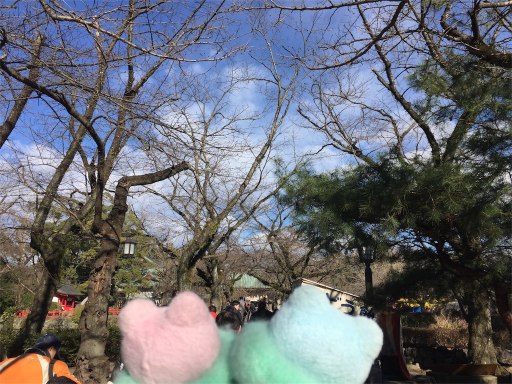 f:id:TNSC65:20170115212051j:image f:id:TNSC65:20170115212051j:image