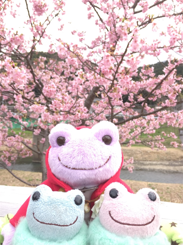f:id:TNSC65:20170310124010j:image f:id:TNSC65:20170310124010j:image