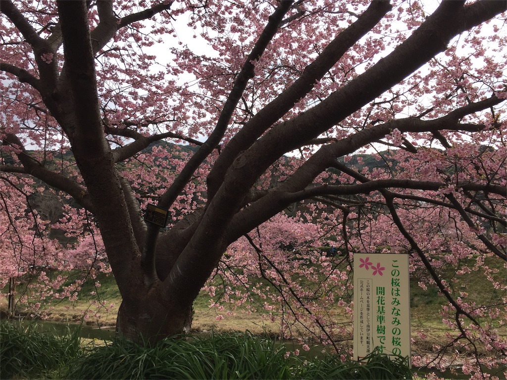 f:id:TNSC65:20170315211351j:image f:id:TNSC65:20170315211351j:image