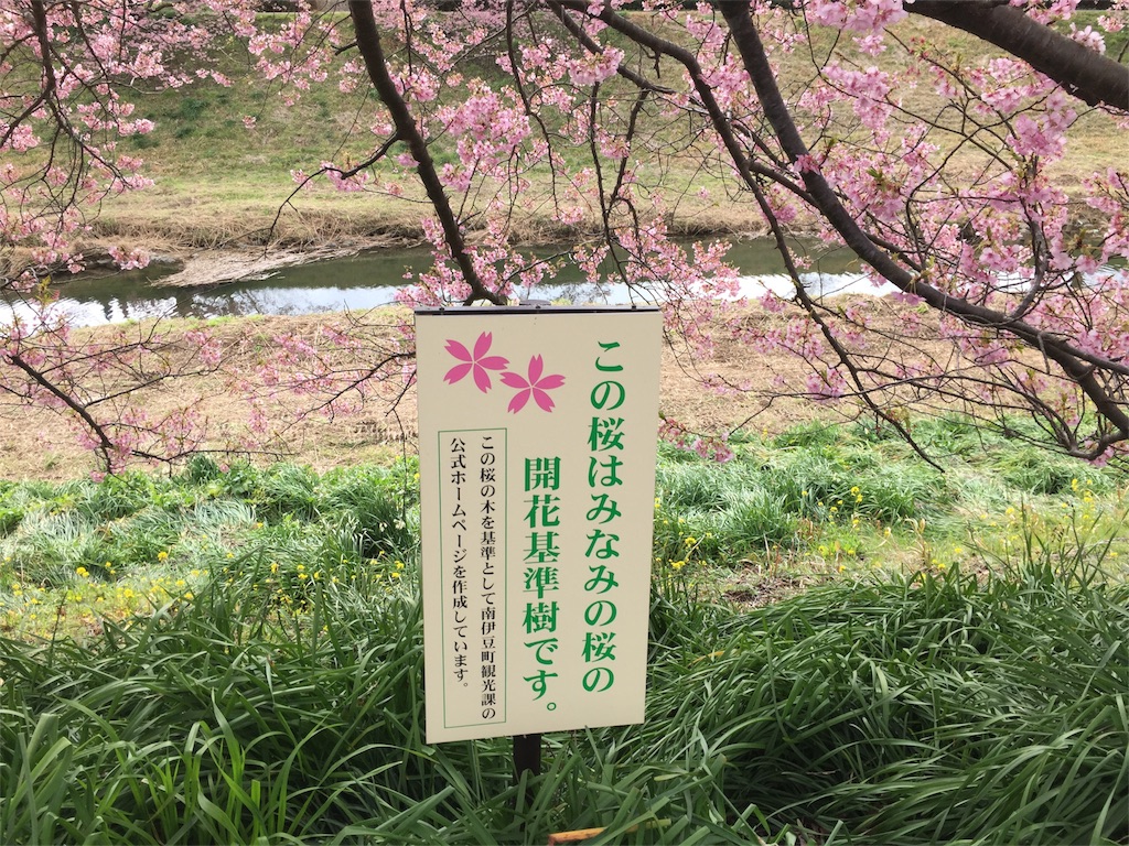 f:id:TNSC65:20170315211546j:image f:id:TNSC65:20170315211546j:image