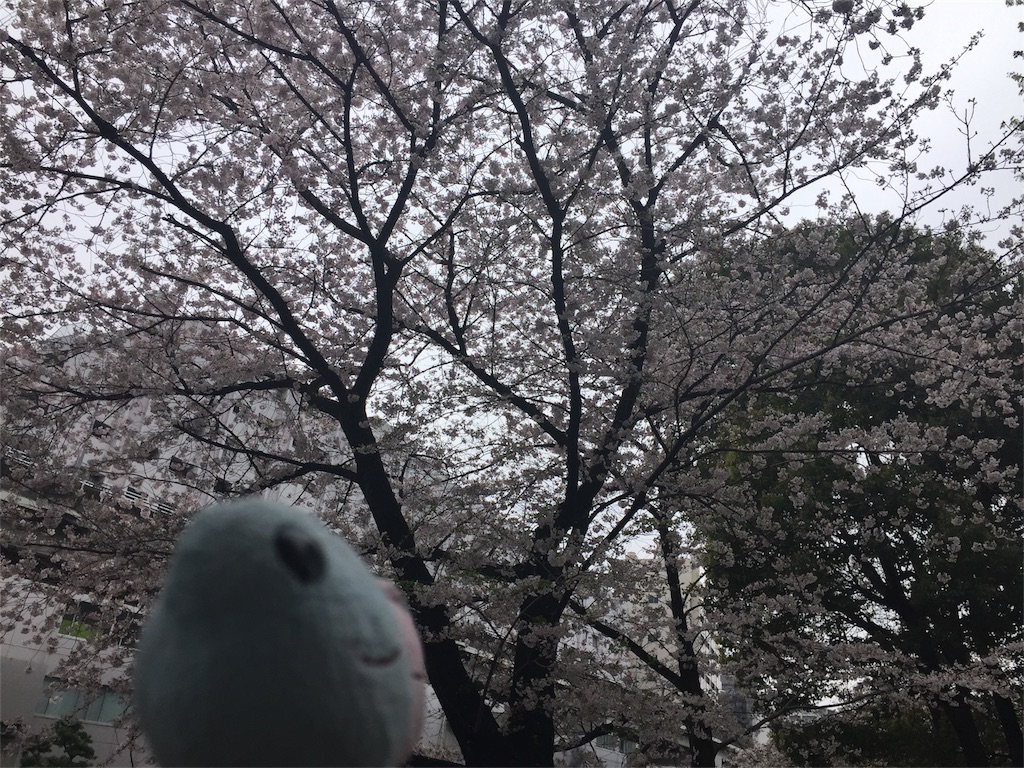 f:id:TNSC65:20170409230740j:image f:id:TNSC65:20170409230740j:image