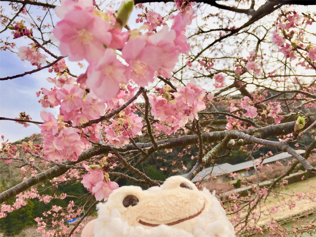 f:id:TNSC65:20180320083252j:image f:id:TNSC65:20180320083252j:image