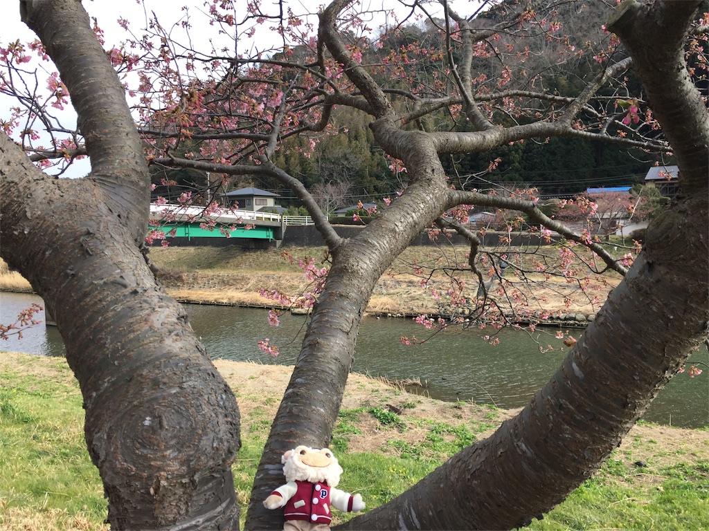 f:id:TNSC65:20180320083337j:image f:id:TNSC65:20180320083337j:image