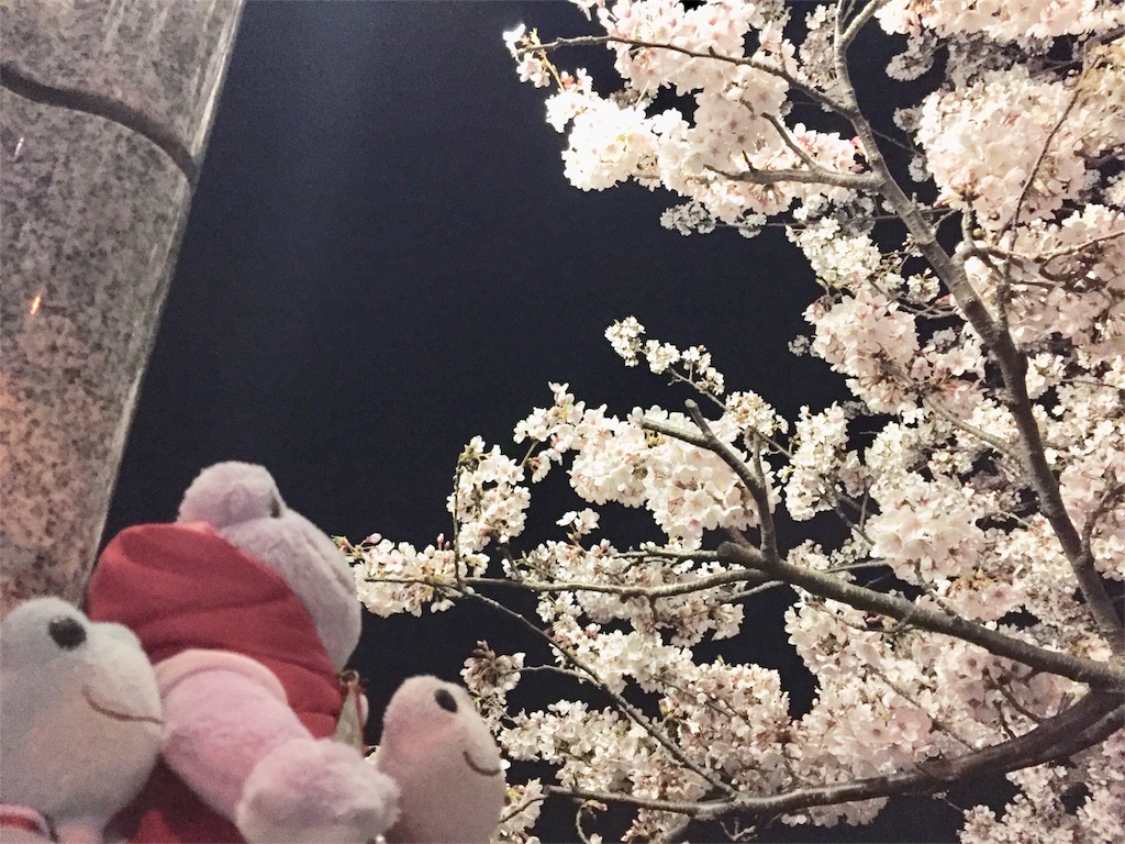 f:id:TNSC65:20180401221814j:image f:id:TNSC65:20180401221814j:image