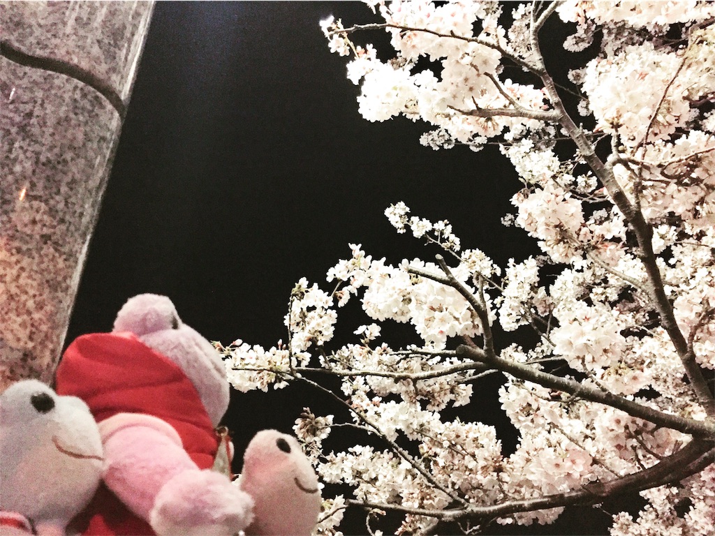 f:id:TNSC65:20180402235203j:image f:id:TNSC65:20180402235203j:image