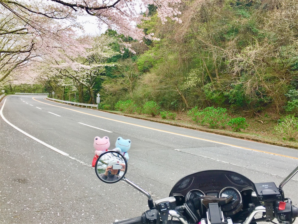 f:id:TNSC65:20180528185113j:image f:id:TNSC65:20180528185113j:image