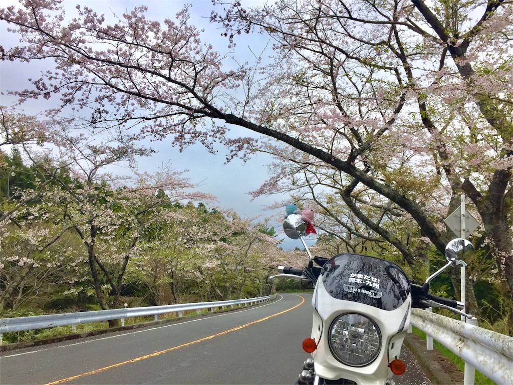 f:id:TNSC65:20180528185519j:image f:id:TNSC65:20180528185519j:image