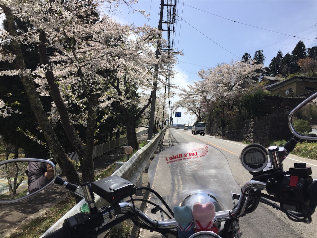f:id:TNSC65:20180601193453j:image f:id:TNSC65:20180601193453j:image