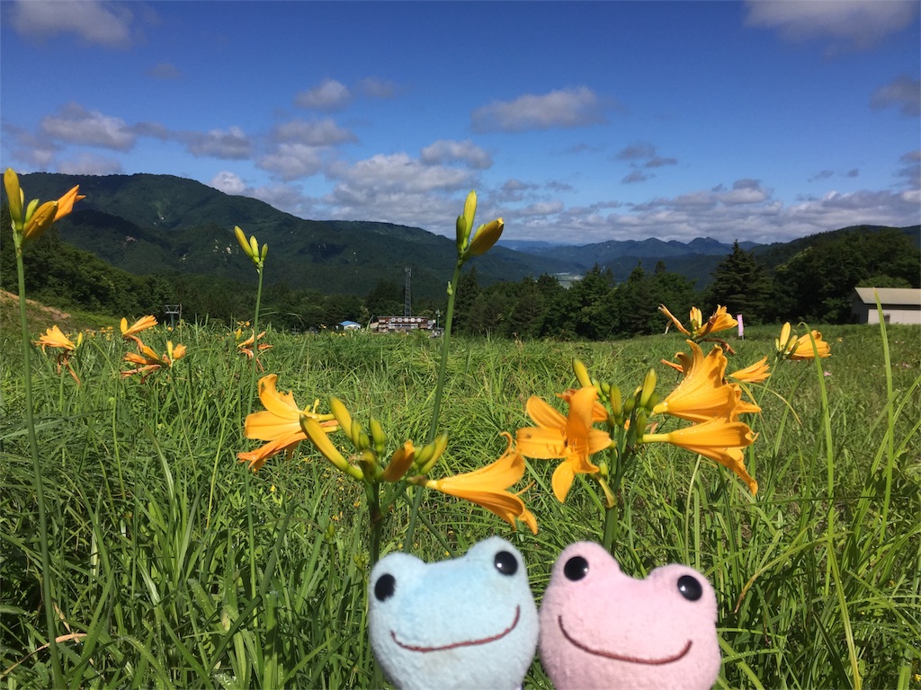 f:id:TNSC65:20180814213114j:image f:id:TNSC65:20180814213114j:image