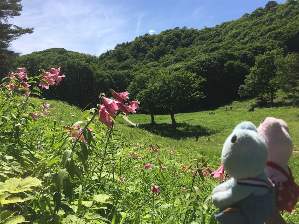 f:id:TNSC65:20180823120614j:image f:id:TNSC65:20180823120614j:image