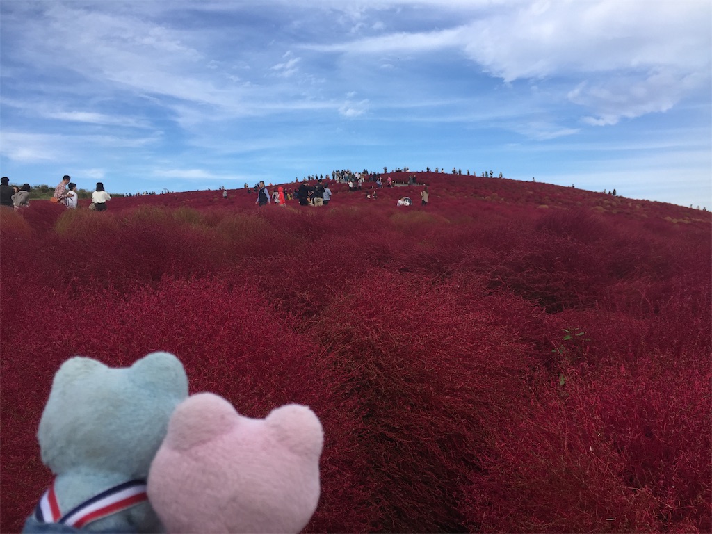 f:id:TNSC65:20181029143842j:image f:id:TNSC65:20181029143842j:image