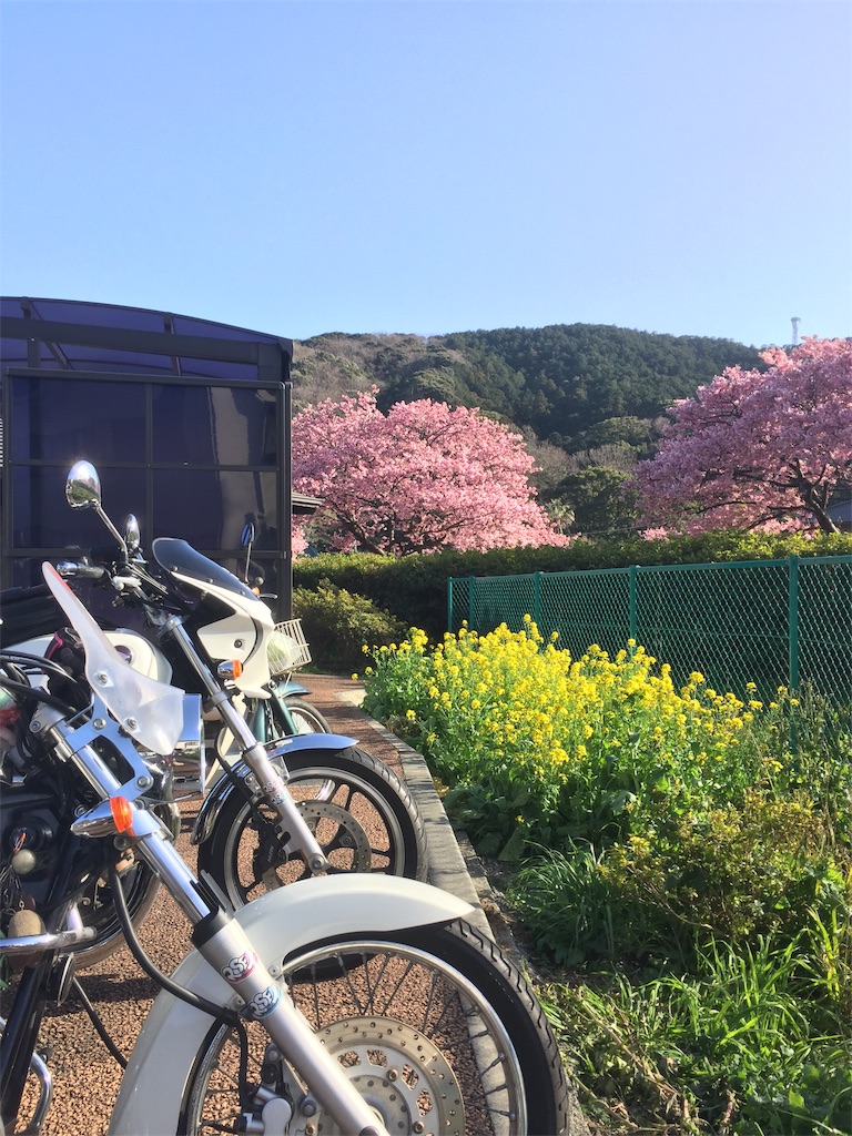 f:id:TNSC65:20190323130913j:image f:id:TNSC65:20190323130913j:image