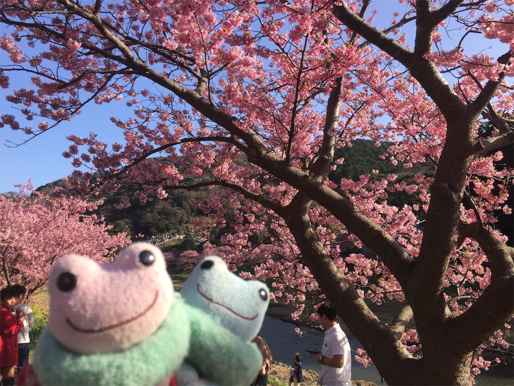 f:id:TNSC65:20190501110528j:image f:id:TNSC65:20190501110528j:image