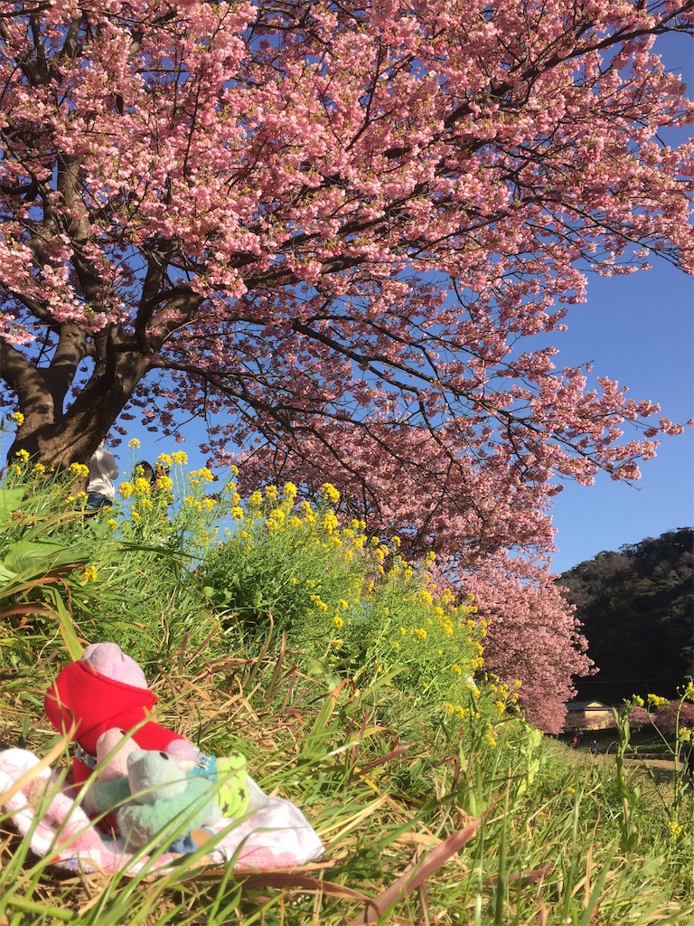 f:id:TNSC65:20190501111520j:image f:id:TNSC65:20190501111520j:image