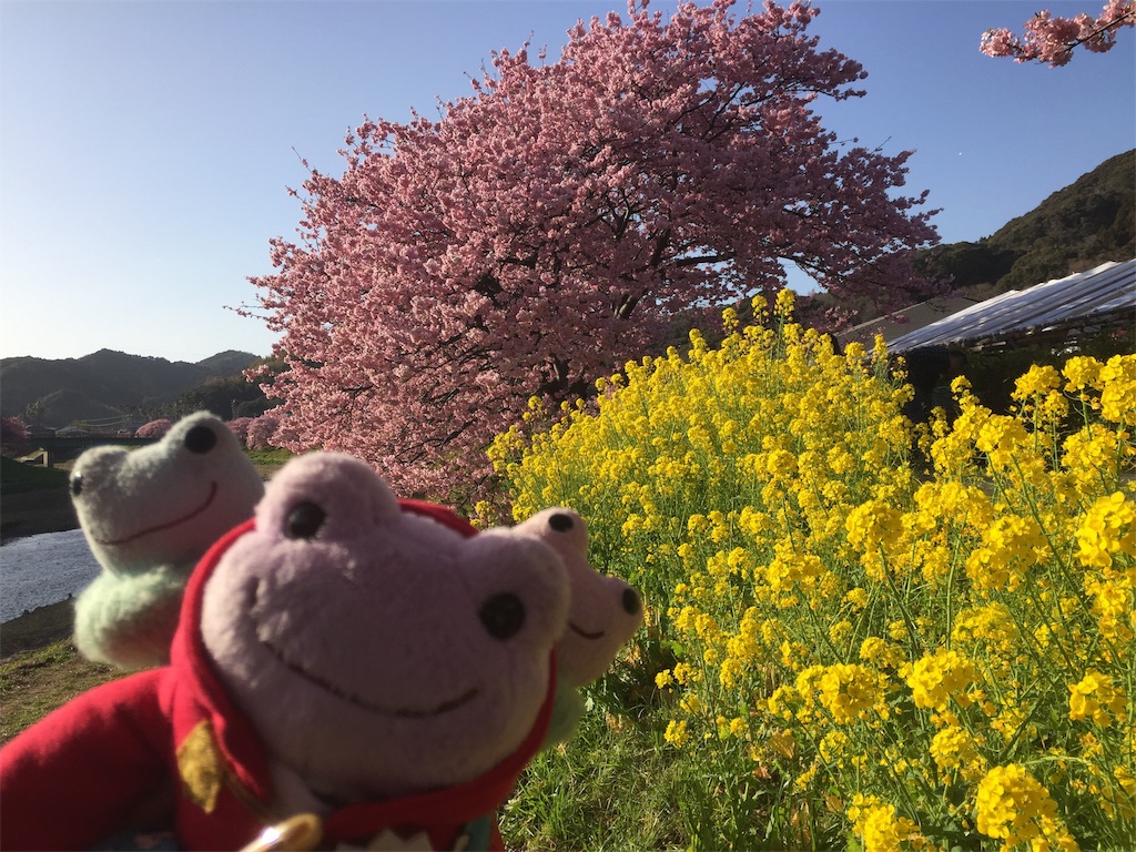 f:id:TNSC65:20190501112249j:image f:id:TNSC65:20190501112249j:image
