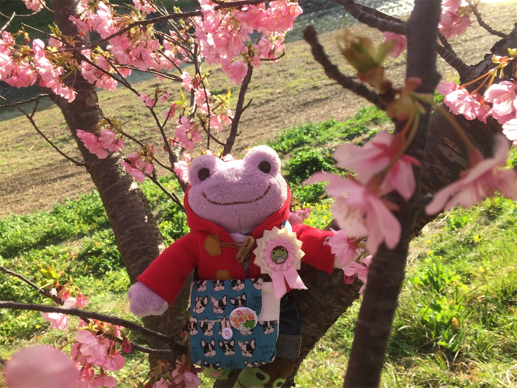 f:id:TNSC65:20190501112540j:image f:id:TNSC65:20190501112540j:image