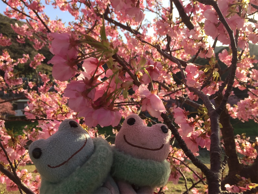f:id:TNSC65:20190501112904j:image f:id:TNSC65:20190501112904j:image
