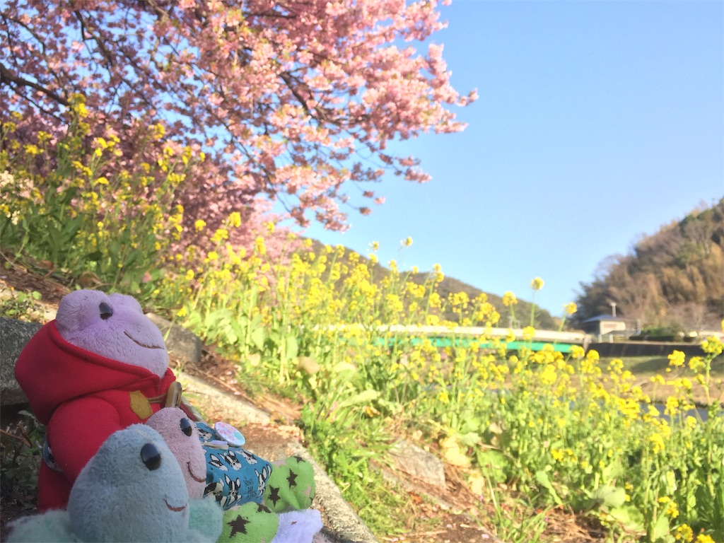 f:id:TNSC65:20190501112938j:image f:id:TNSC65:20190501112938j:image