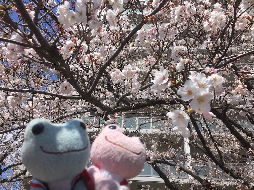 f:id:TNSC65:20190614231610j:image f:id:TNSC65:20190614231610j:image