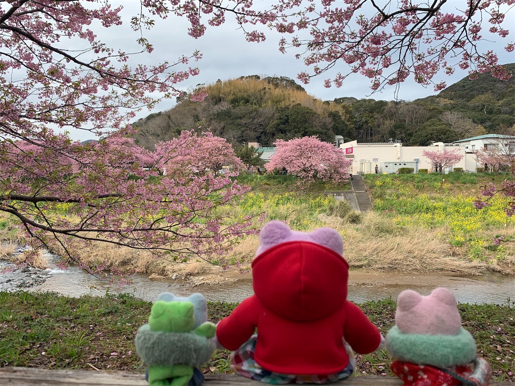 f:id:TNSC65:20200221200520j:image